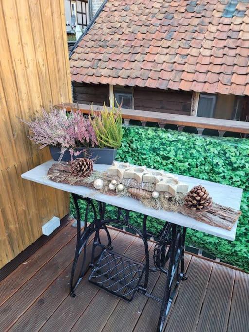 Ferienwohnung Harzbiene Wernigerode Exteriör bild